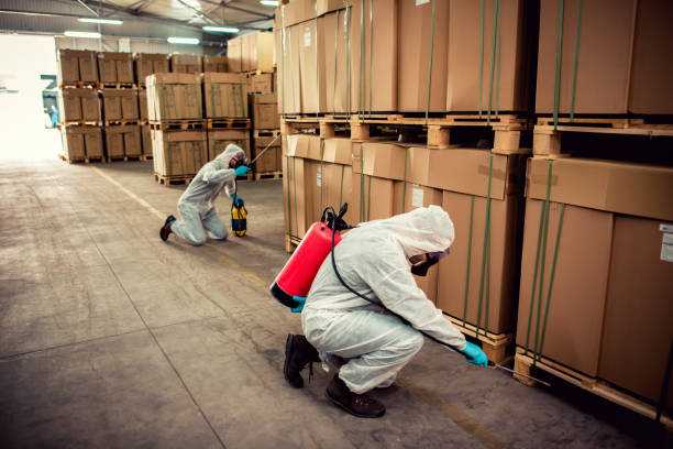 Best Residential Pest Control  in Denver, PA